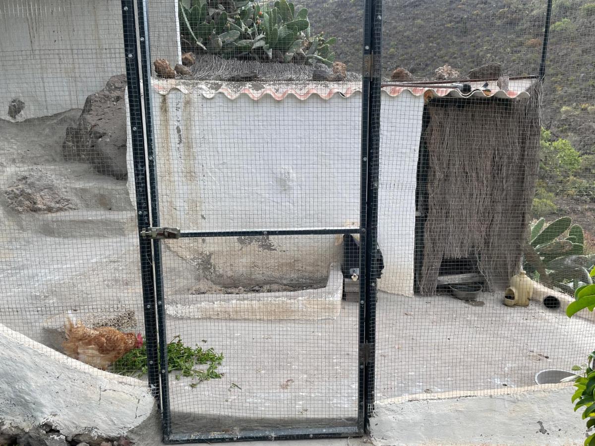 El Jaral Casa Niagara 빌라 외부 사진