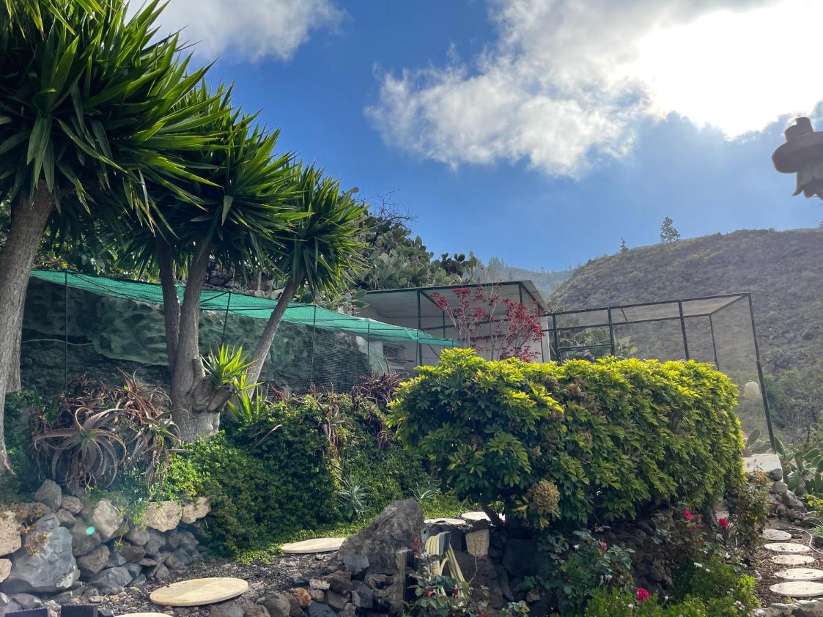 El Jaral Casa Niagara 빌라 외부 사진